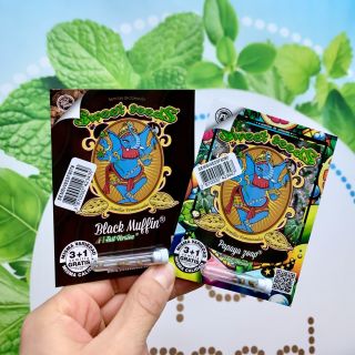 🌱Novinky od @sweetseedsbank právě dorazily🌱 #sweetseeds #growshop #jarojetu #blackmuffin #papayazoap