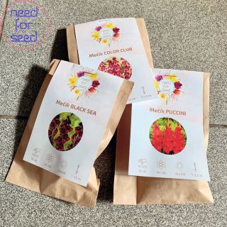 🌸 hlízy mečíků nově v naší nabídce pro výsadbu v dubnu-červnu🌸 #pestujemedoma #gladiolus #krasnazahrada #gladiolusflower...